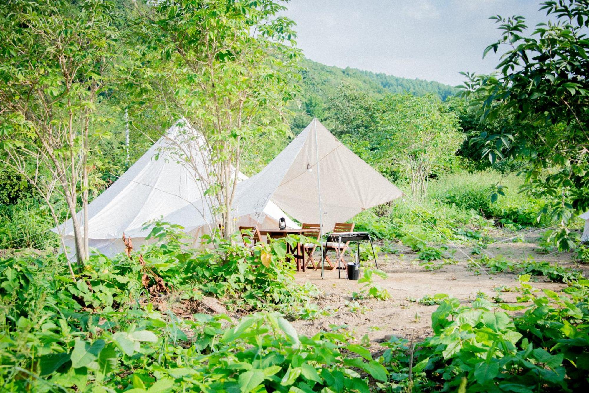 Отель Yoichi Vineyard Glamping Экстерьер фото